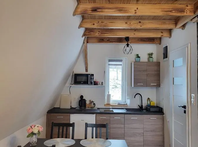 Na Sudeckiej Polanie